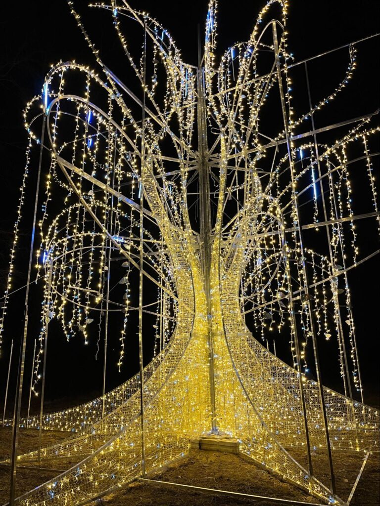 Christmas Maze and Holiday Light Show