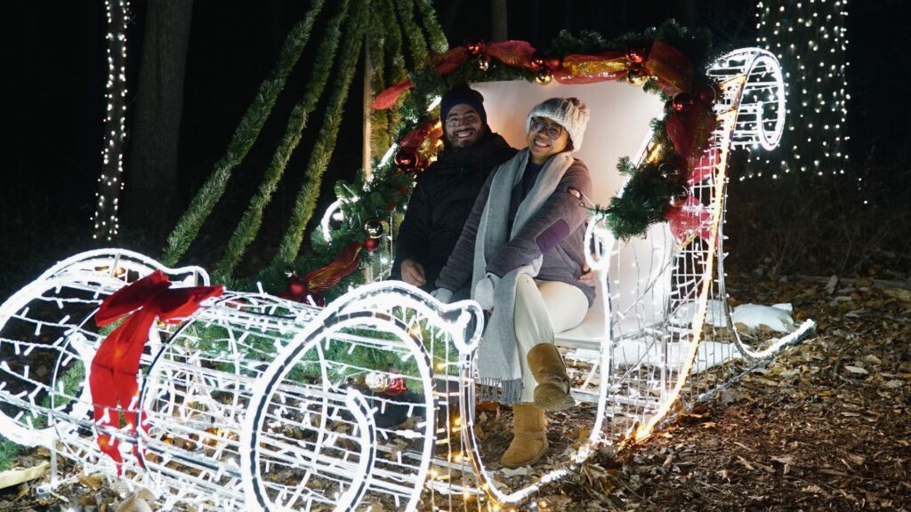 holiday light show in Washington DC